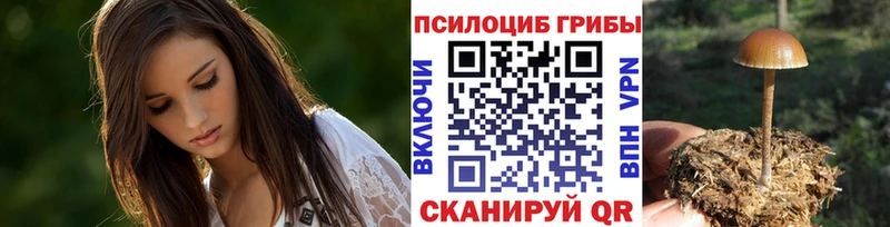 Купить где  Сортавала  Псилоцибиновые грибы прущие грибы 