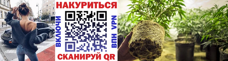 Бошки Шишки сатива  Купить  Сортавала 